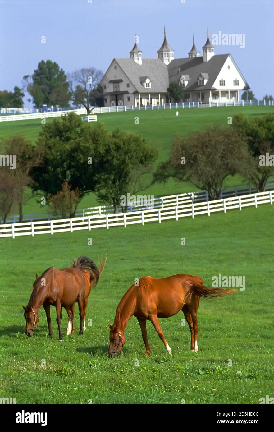 Lexington Kentucky horse farm Stock Photo