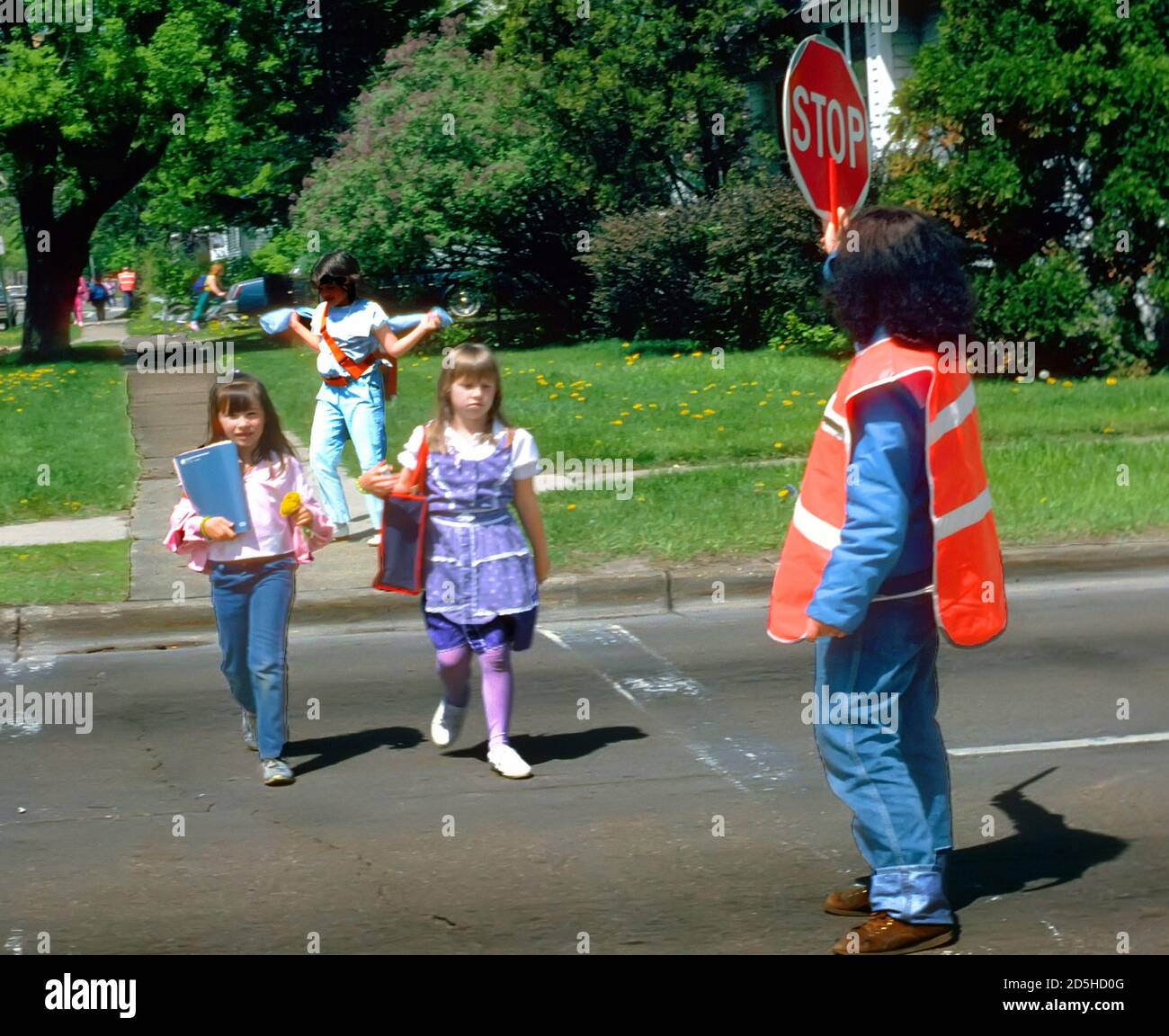 Female crossing guard helps elementary students to cross busy street by holding a stop traffic sign Stock Photo