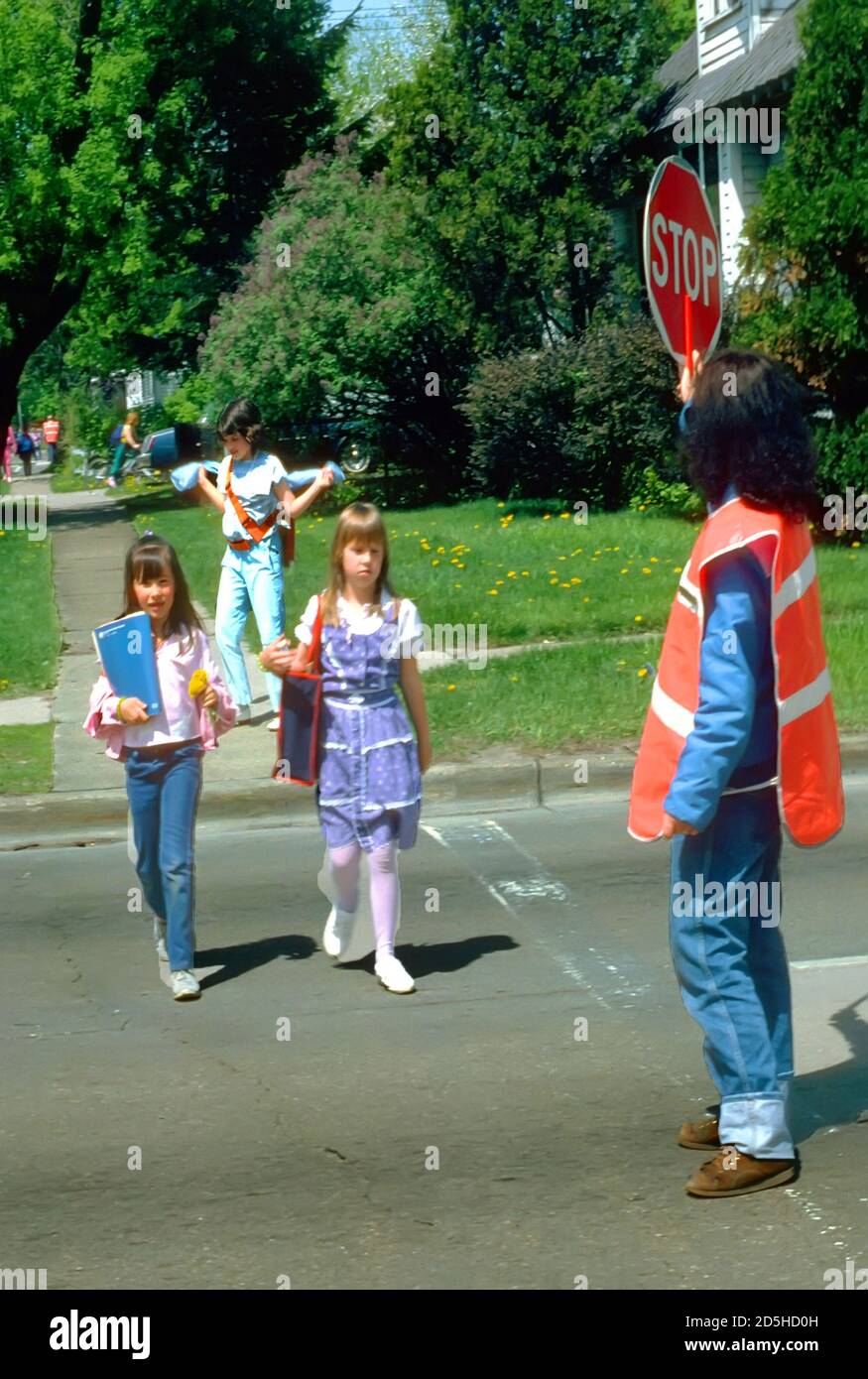 Female crossing guard helps elementary students to cross busy street by holding a stop traffic sign Stock Photo