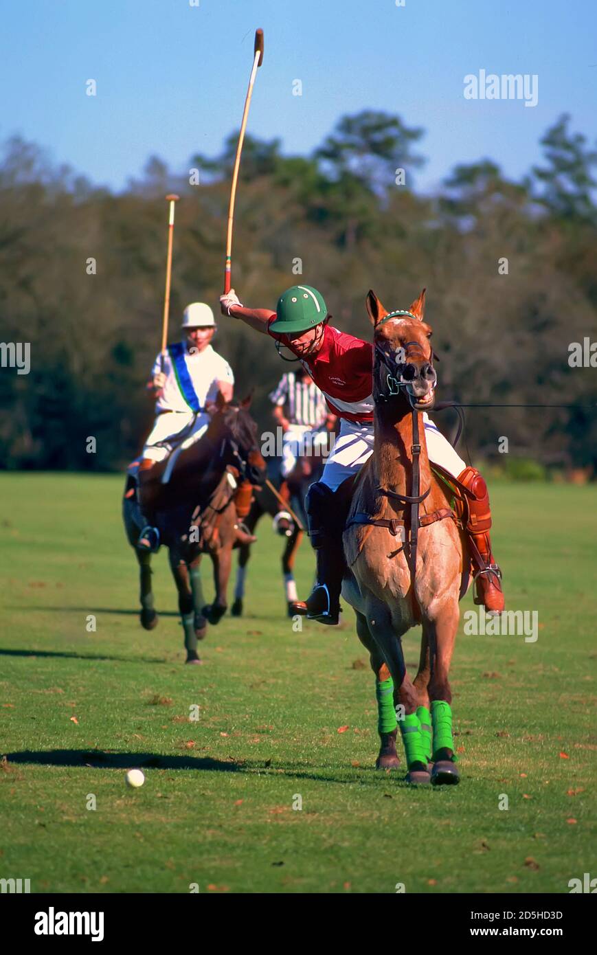 Polo match - Plant City - Florida Polo, game played on horseback between  two teams of four players each who use mallets with long, flexible handles  t Stock Photo - Alamy
