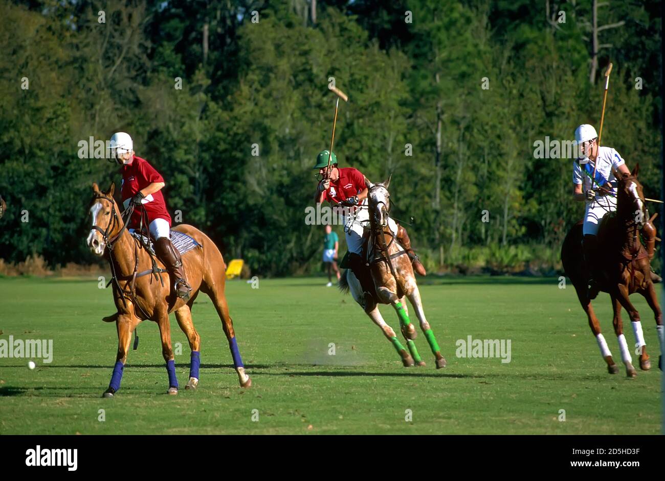 Polo ball polo horse polo hires stock photography and images Alamy