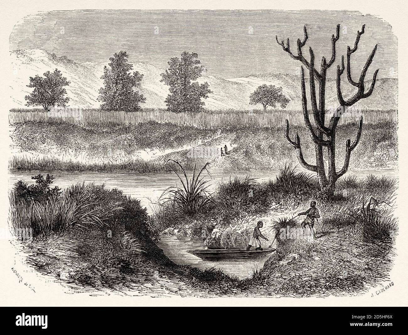 Shores of Kitangule, Africa. Old XIX century engraved from Le Tour du Monde 1864 Stock Photo
