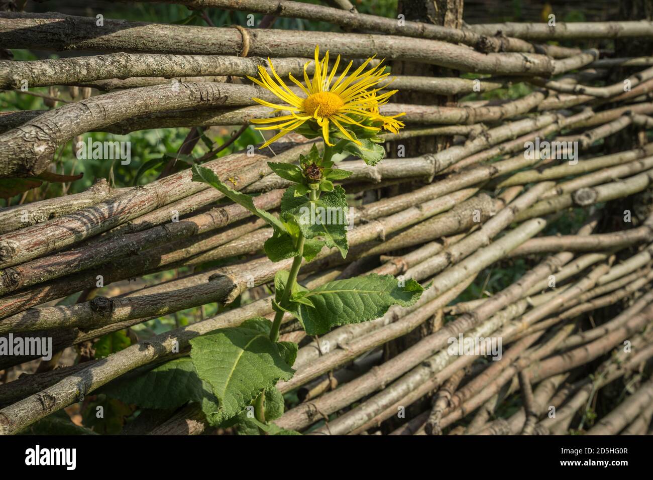 old wooden fence Stock Photo - Alamy