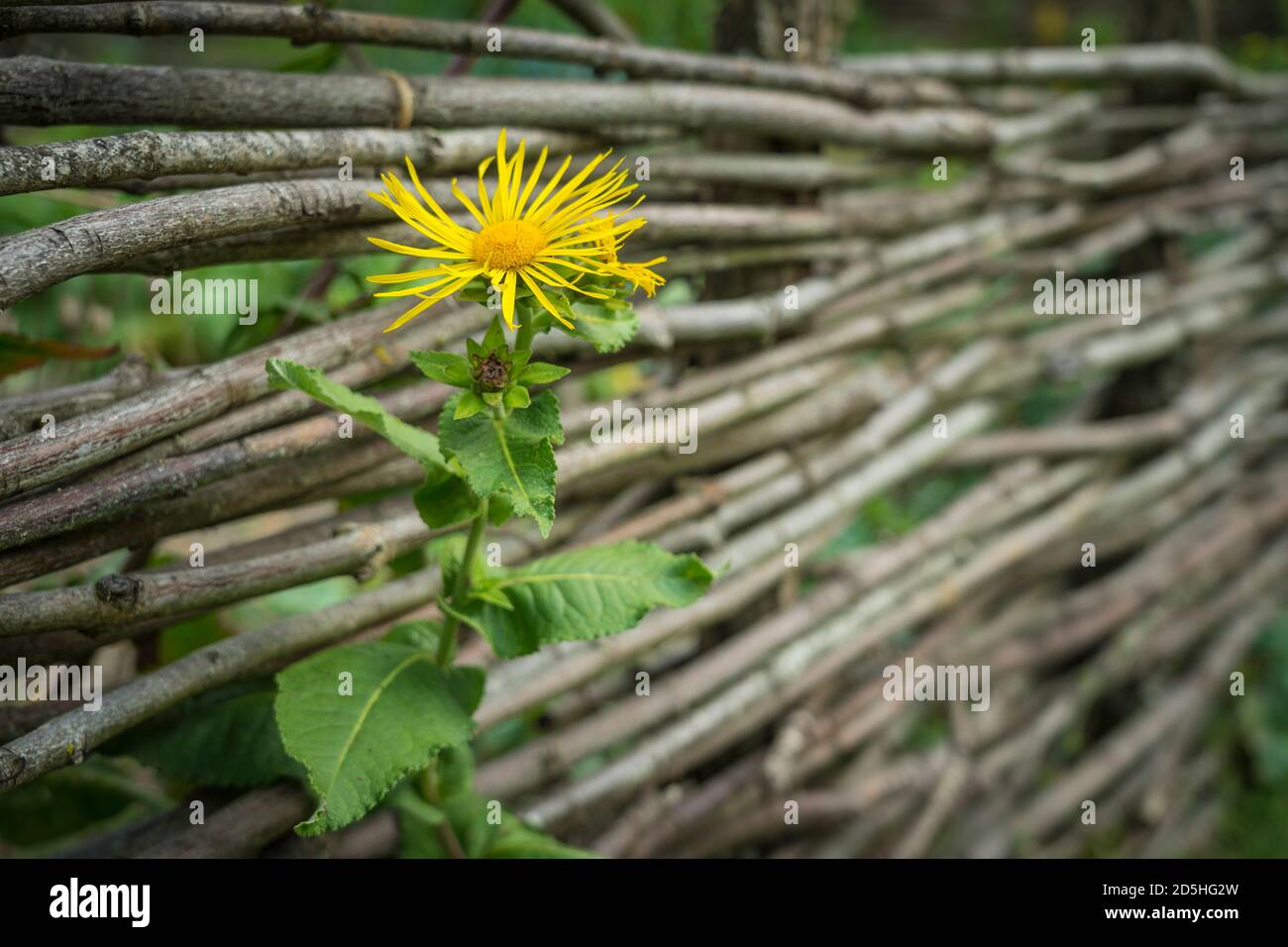 old wooden fence Stock Photo - Alamy