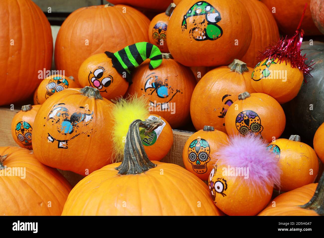 Colorful pumpkins on display at a farmers market Stock Photo - Alamy
