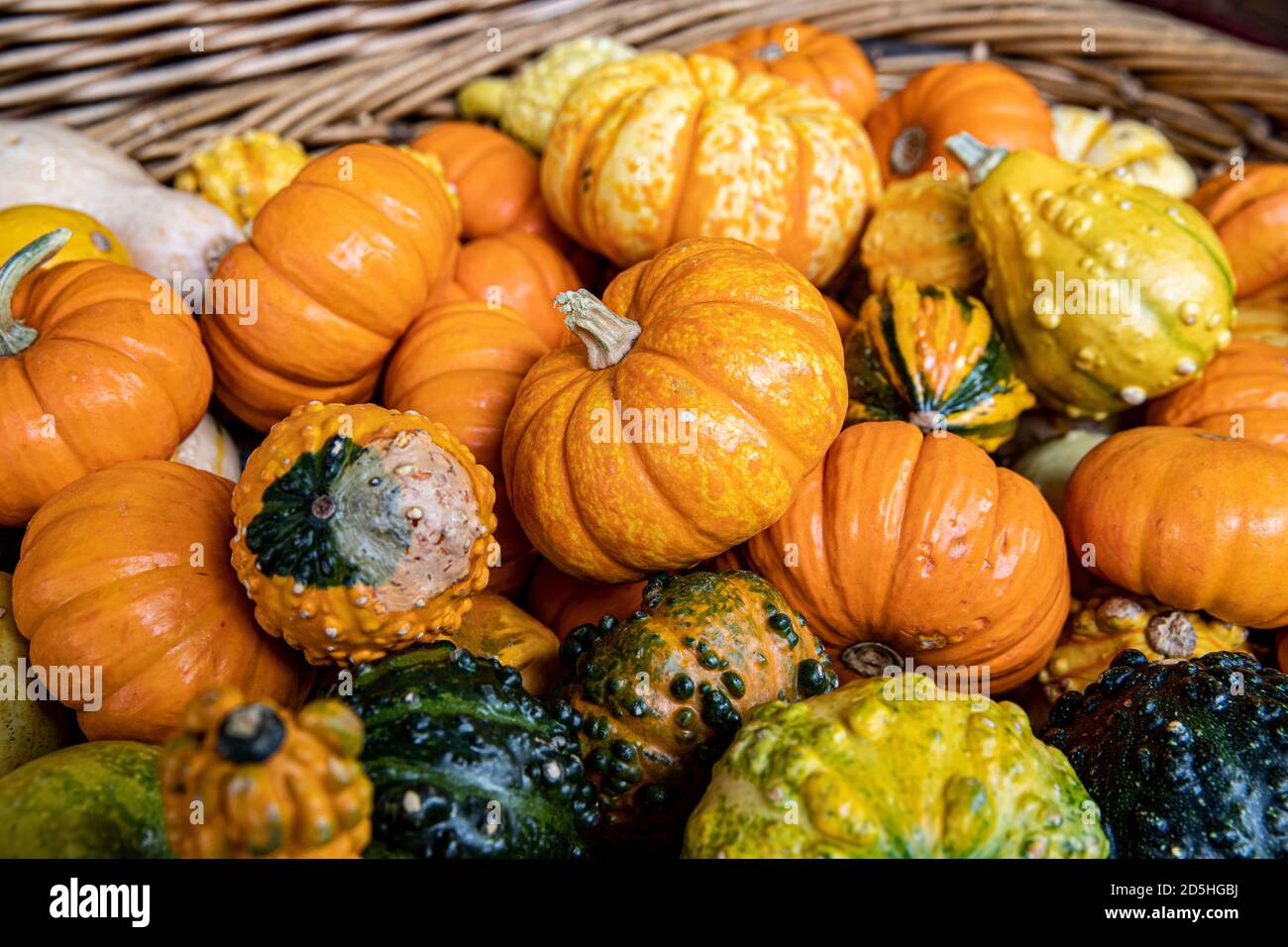 Pumpkins on display at a farmers market Stock Photo - Alamy