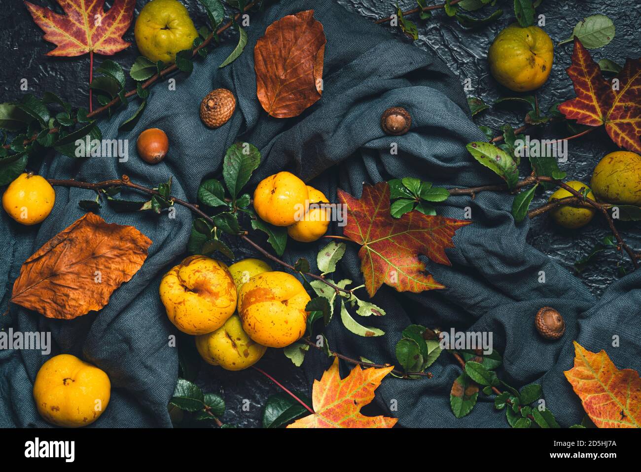 Autumn still life with quince fruits, acorns and dry fall leaves on dark fabric over black table. Fall background. flat lay. top view Stock Photo