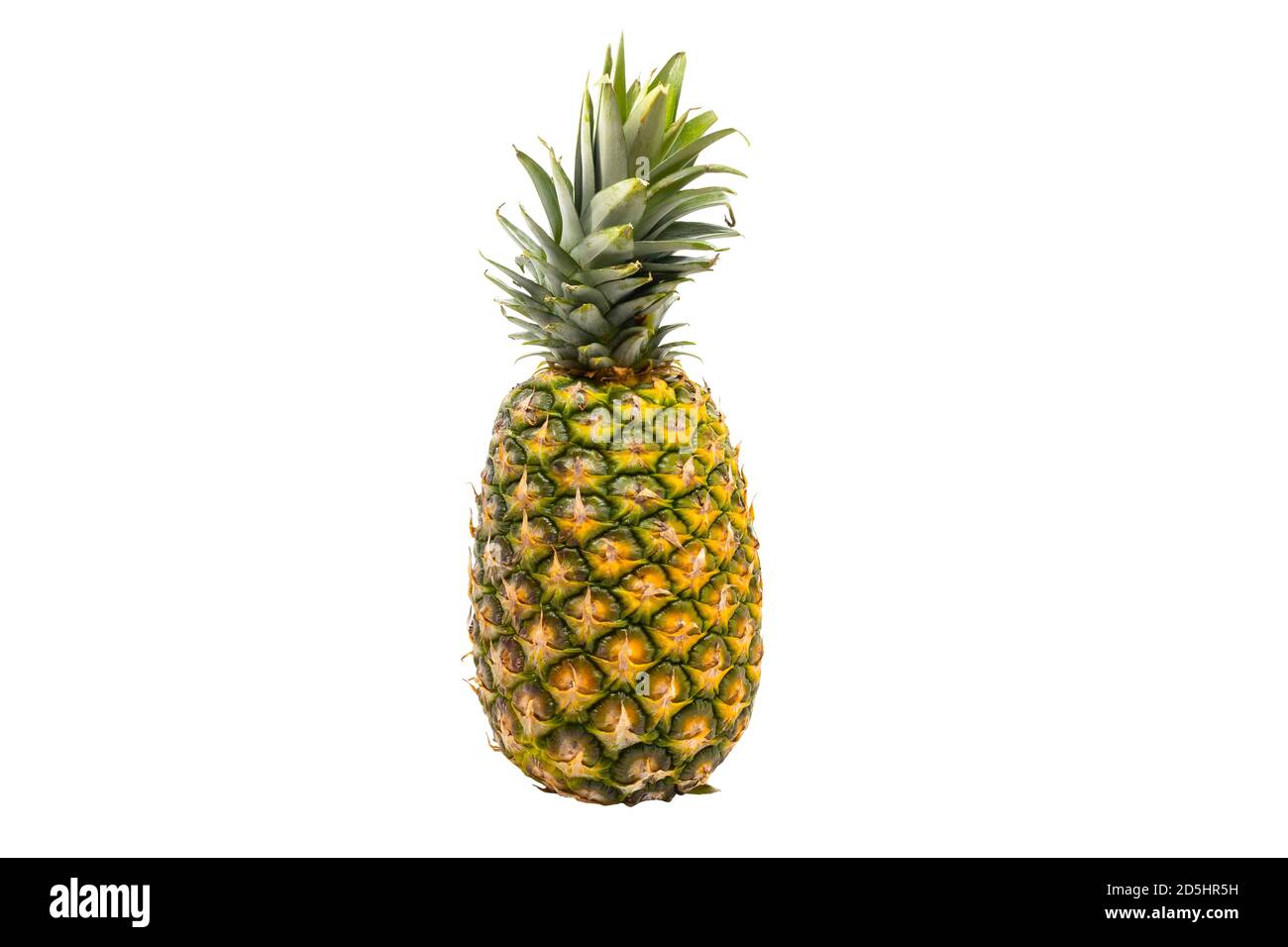 A single whole pineapple isolated on white background. The (Ananas comosus) is a tropical plant with an edible fruit and the most economically signifi Stock Photo