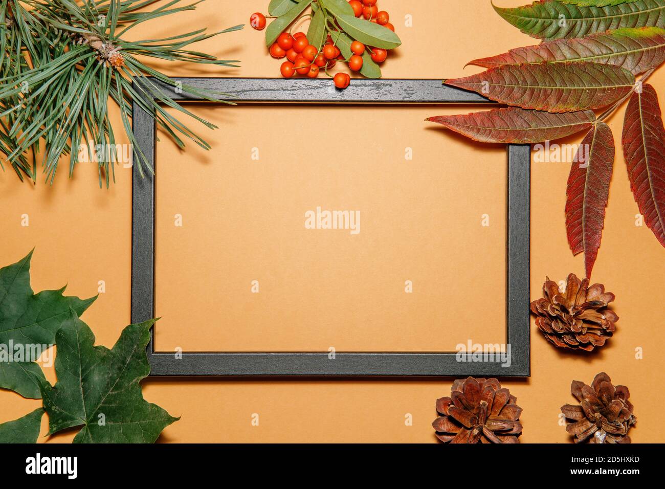 Picture frame filled with autumn plants Stock Photo