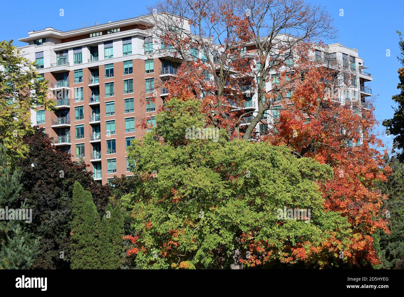 Large apartment building surrounded by trees in fall colors Stock Photo