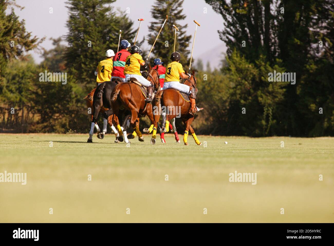 Chile, South America Stock Photo