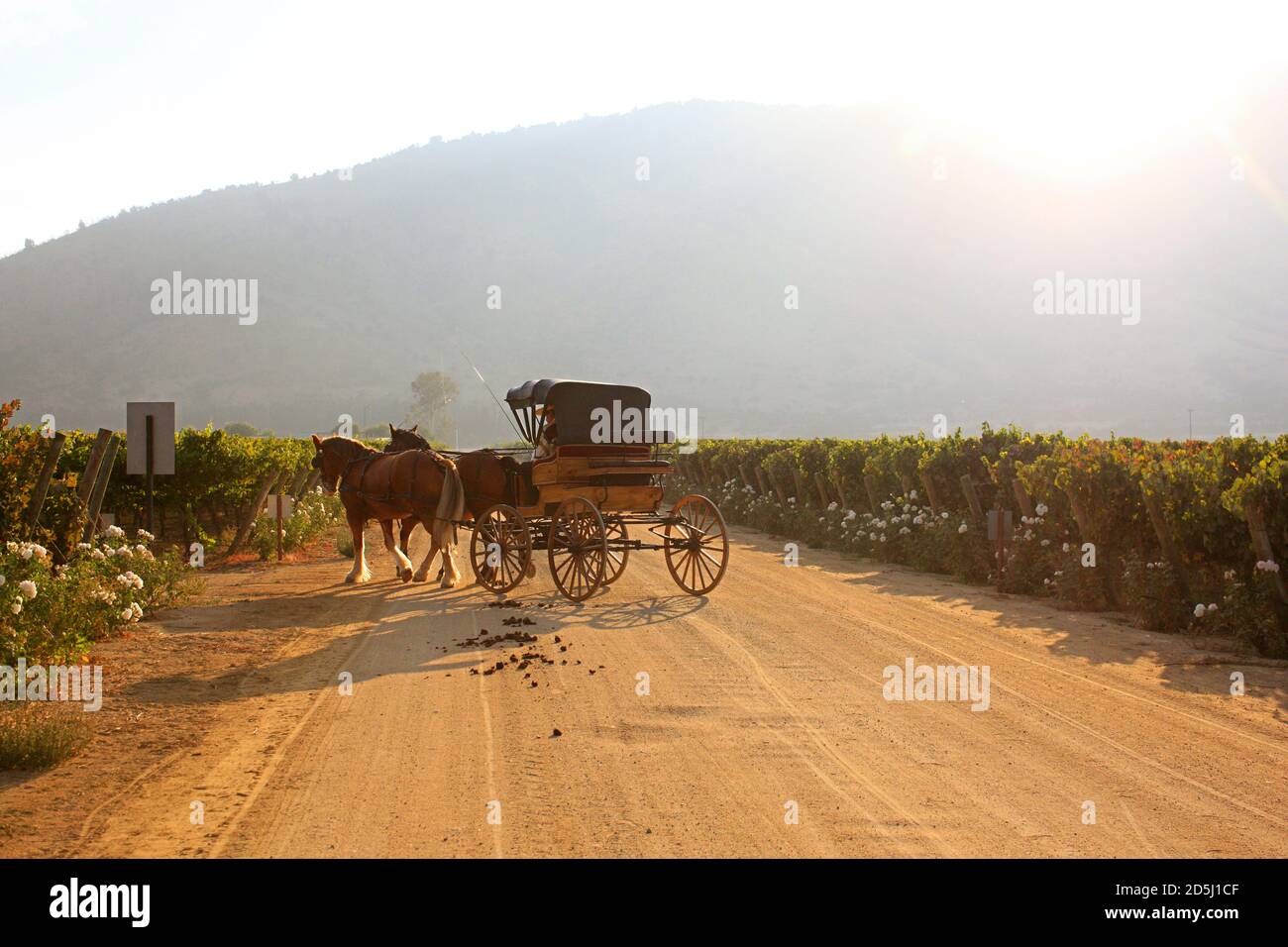 Chile, South America Stock Photo