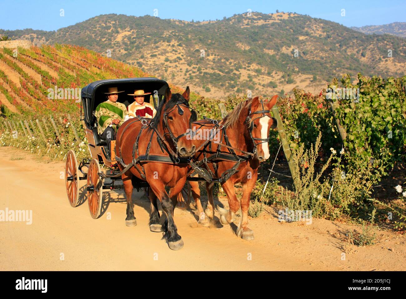 Chile, South America Stock Photo