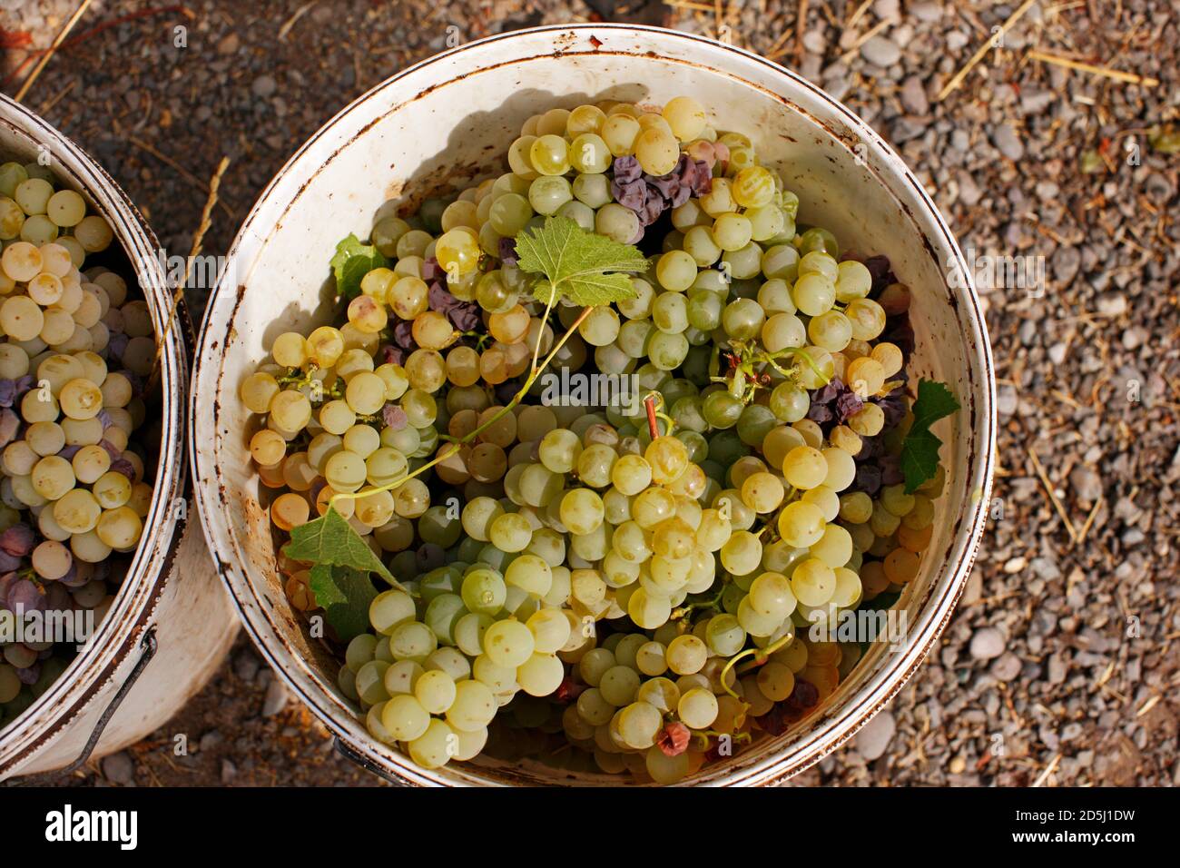 Chile, South America Stock Photo