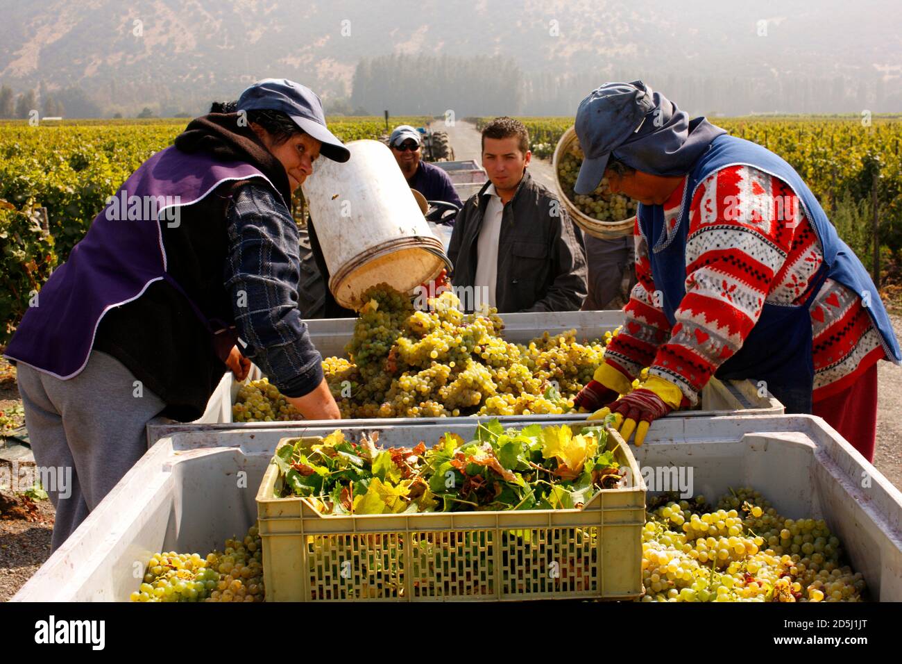 Chile, South America Stock Photo