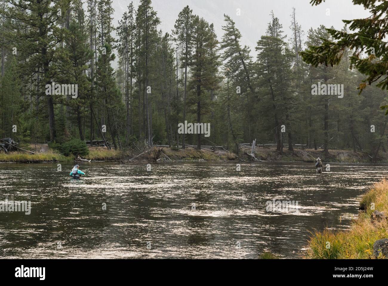 Two fly fishermen on the Madison River in Yellowstone National Park in Wyoming. Stock Photo