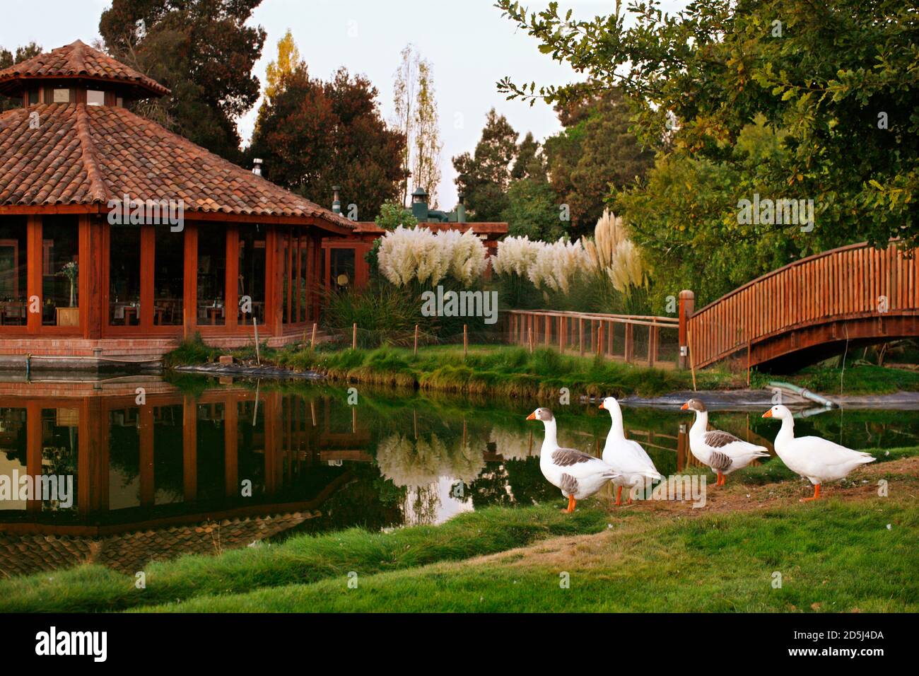 Chile, South America Stock Photo