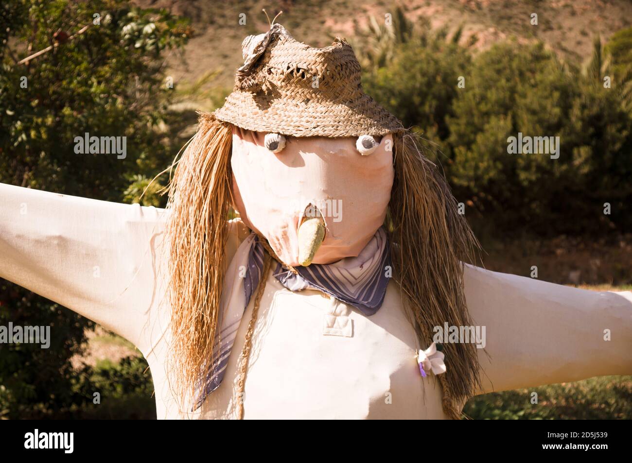 Scarecrow in a rural field Stock Photo - Alamy