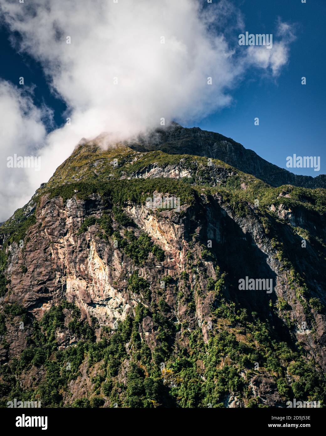 A Milford Sound Adventure - Fabian Andriessen Stock Photo