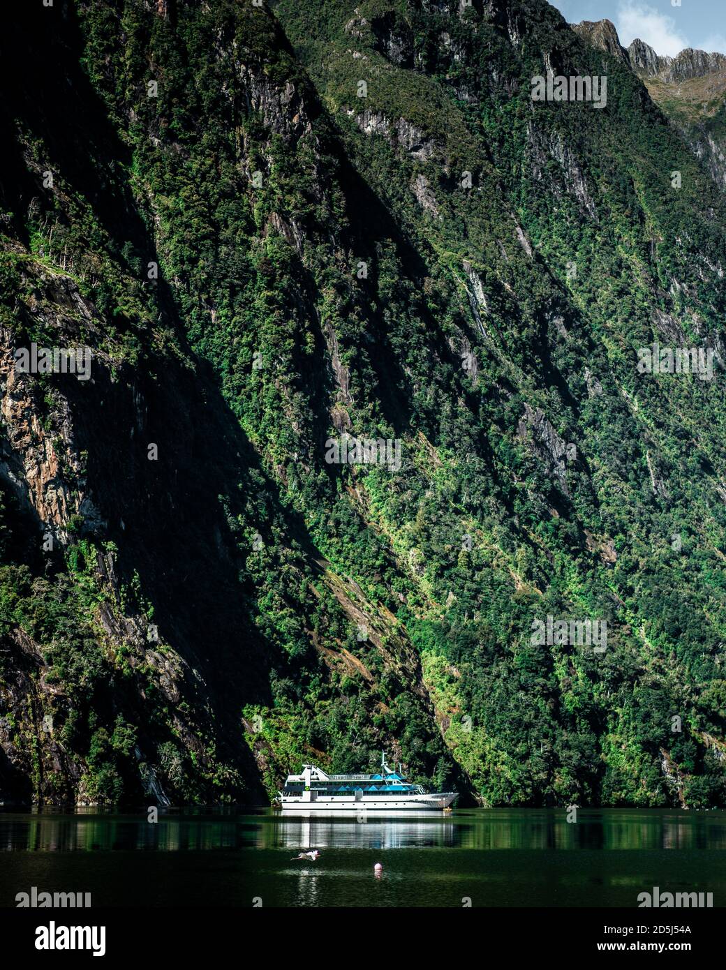 A Milford Sound Adventure - Fabian Andriessen Stock Photo