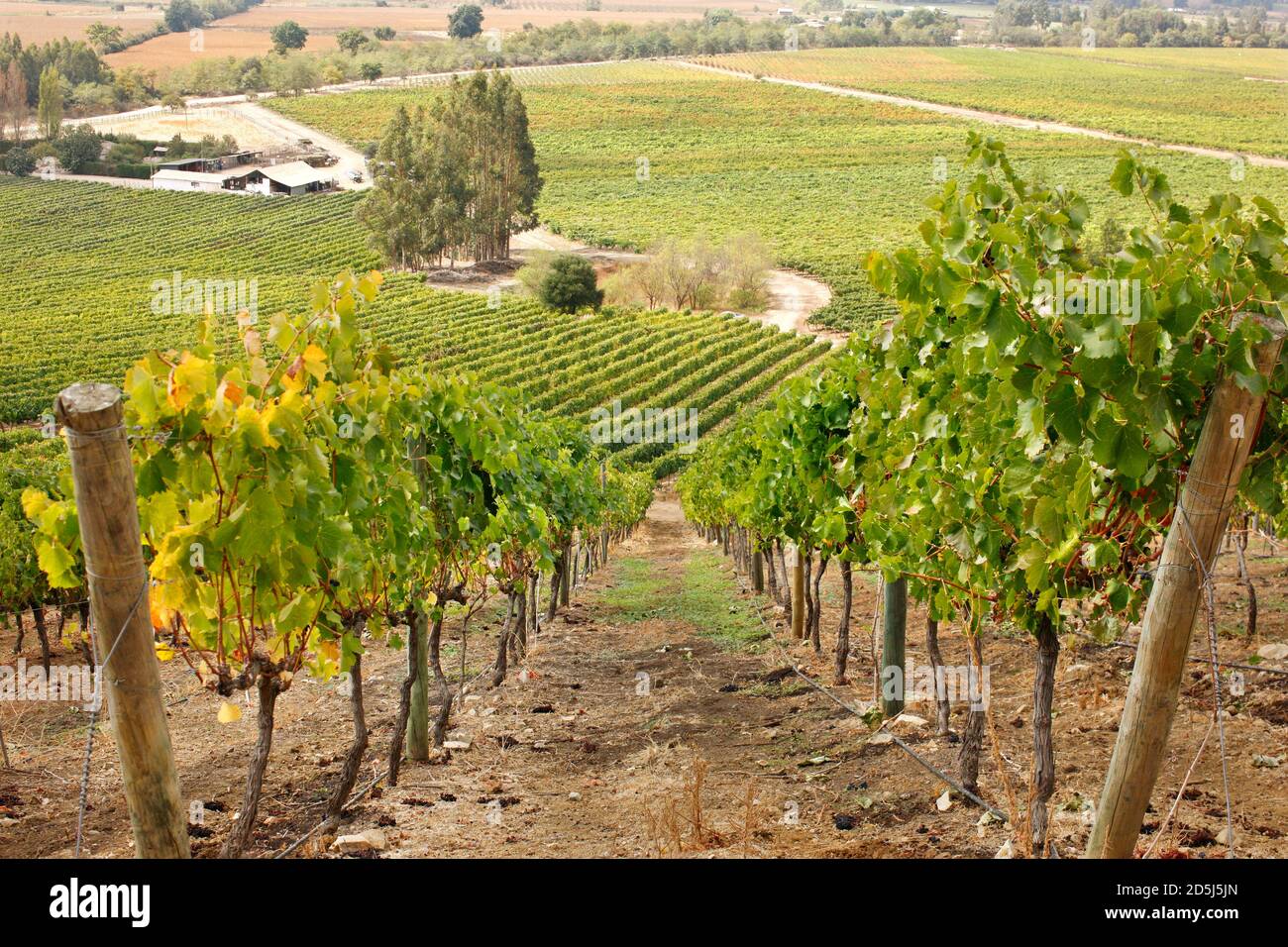 Chile, South America Stock Photo