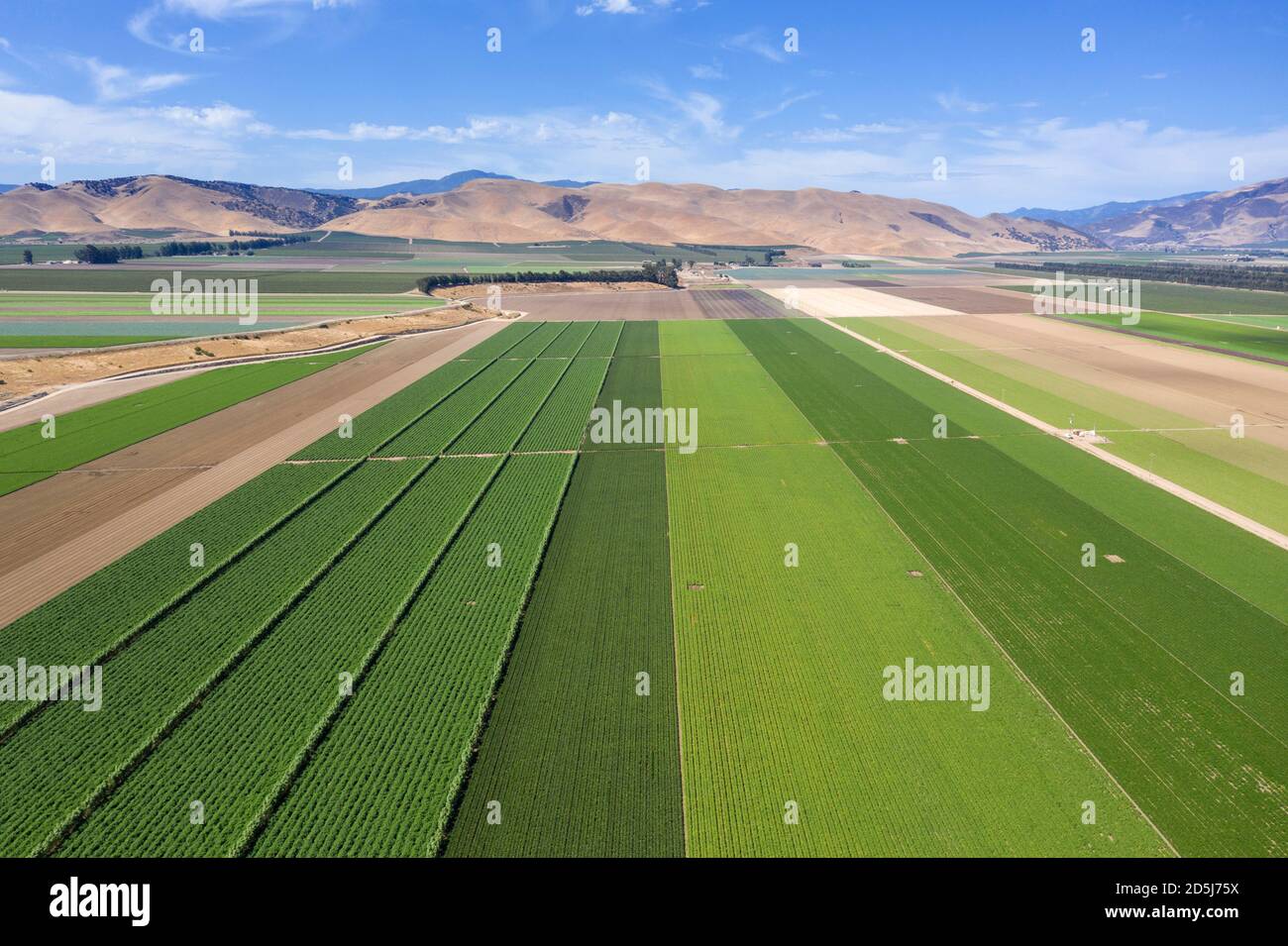 Aerial views looking over the rich agricultural landscape of the Salinas Valley in Monterey