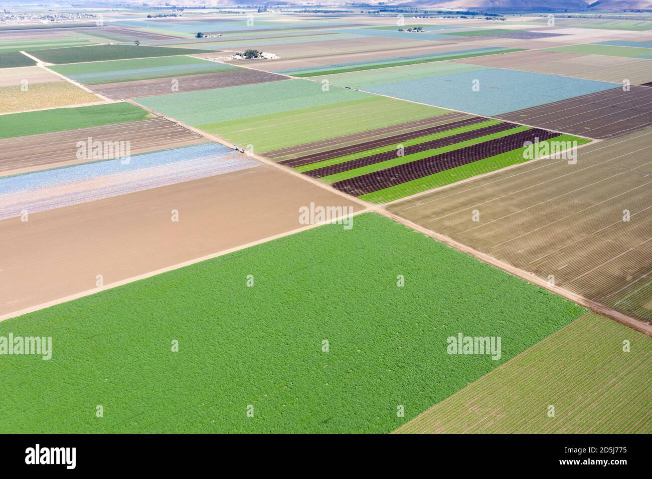 Aerial view of the checkerboard pattern of lettuce crops growing in the fertile Salinas Valley of California Stock Photo