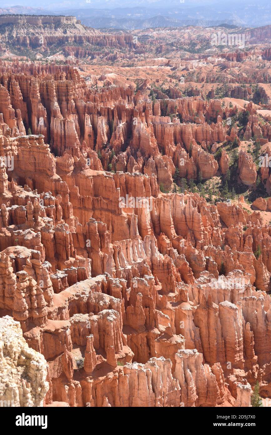 Bryce Canyon National Park, UT., U.S.A. 8/15/2020. Bryce Canyon ...