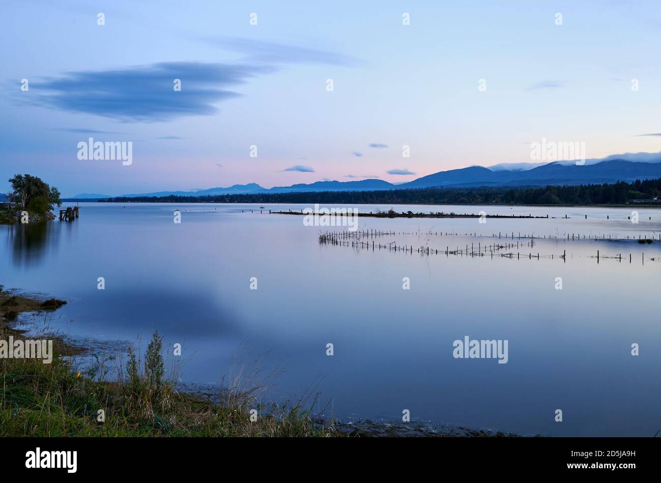 Courtenay estuary at dusk, Courtenay, Vancouver Island, British