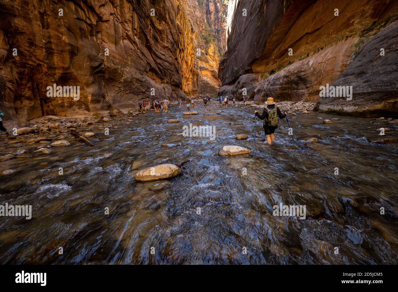 Hanging garden zion national park hires stock photography and images