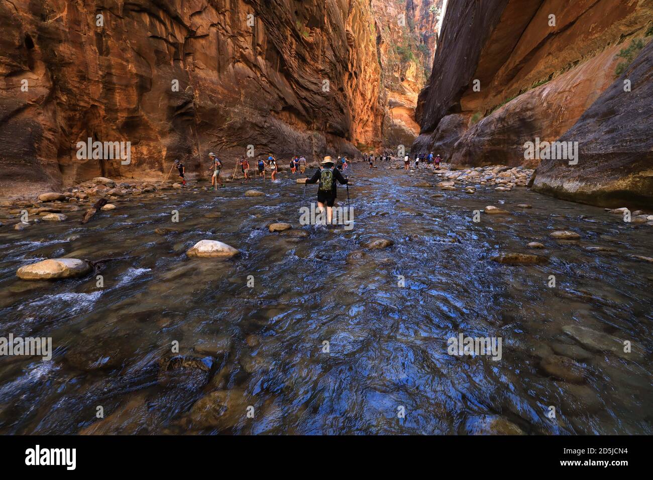 Springdale, Utah, USA. 10th Aug, 2020. Hikers wade through waters in the Narrows. The Narrows is the narrowest section of Zion Canyon and is one of the premier hikes in the park and on the Colorado Plateau. Zion National Park is a southwest Utah nature preserve distinguished by Zion Canyon's steep red cliffs. Zion Canyon Scenic Drive cuts through its main section, leading to forest trails along the Virgin River. The river flows to the Emerald Pools, which have waterfalls and a hanging garden. Also along the river, partly through deep chasms, is Zion Narrows wading hike. (Credit Image: © Ruari Stock Photo