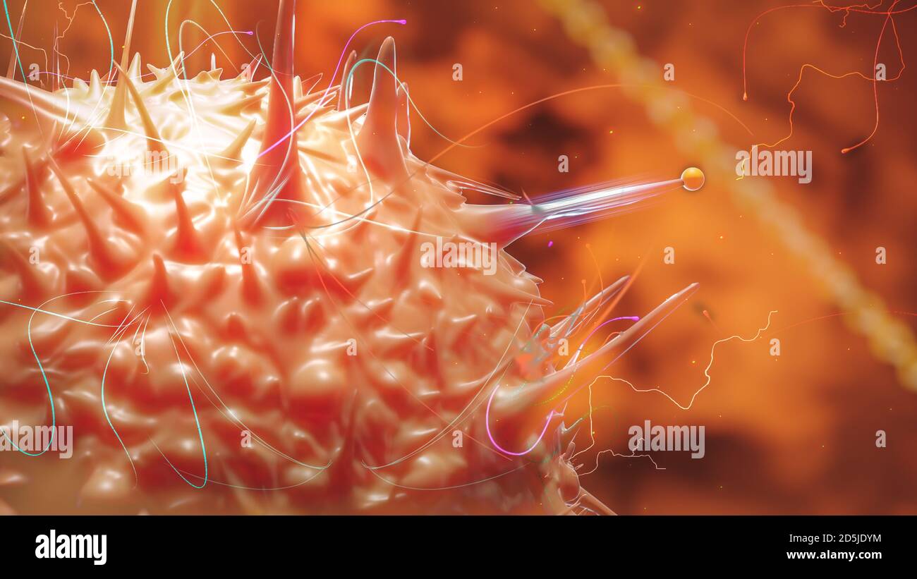 Somatic Cells Hi Res Stock Photography And Images Alamy
