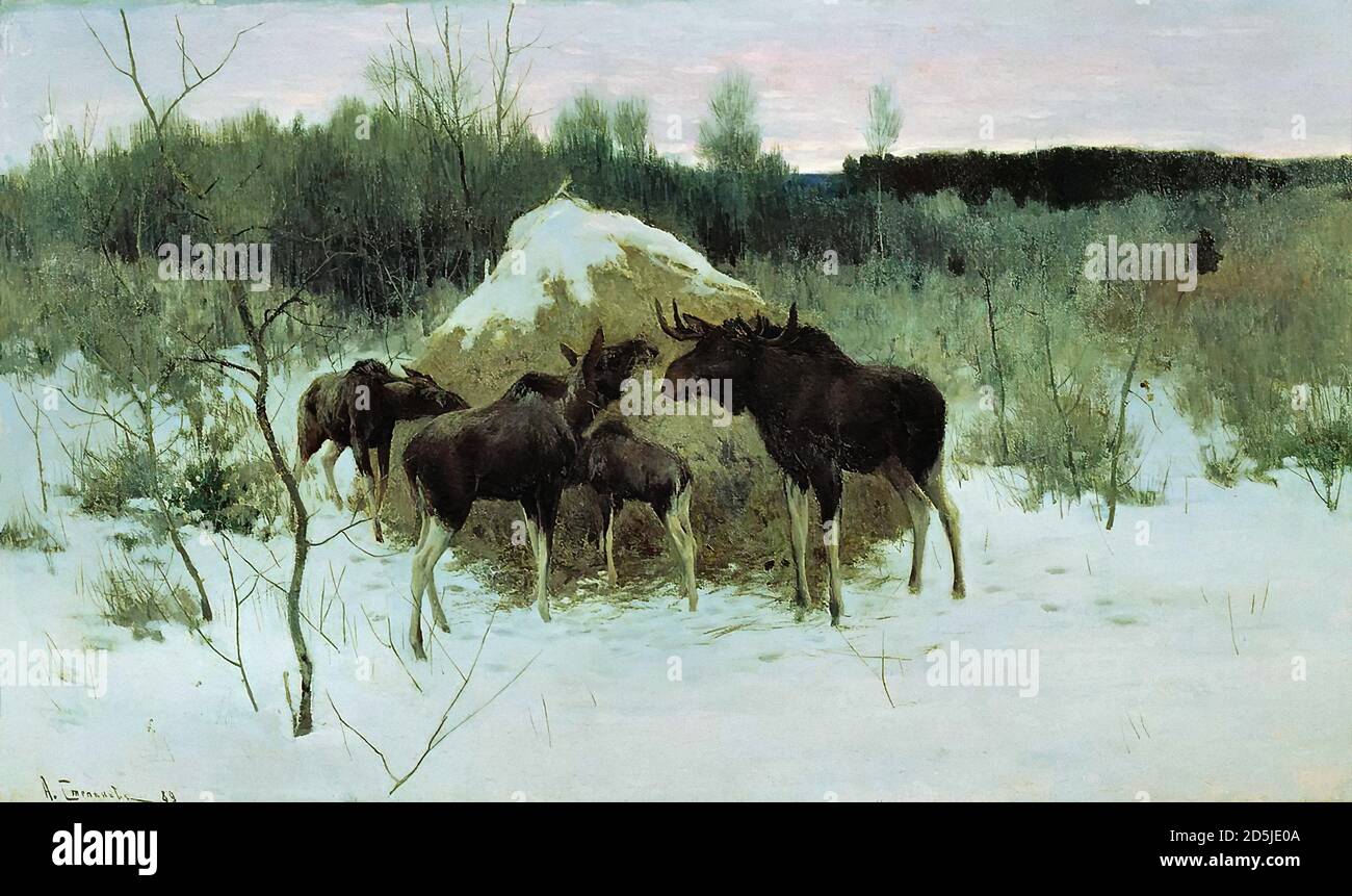 Старый лось прислушивается нет ли опасности. Старый лось прислушивается нет ли опасности. Сочинение по картине степанова лоси 2 класс школа россии. Лось описание животного. Алексей степанов художник лоси.