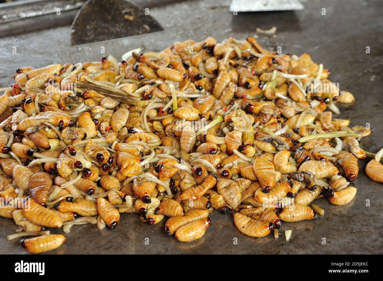 fried sago worm on traditional market Stock Photo