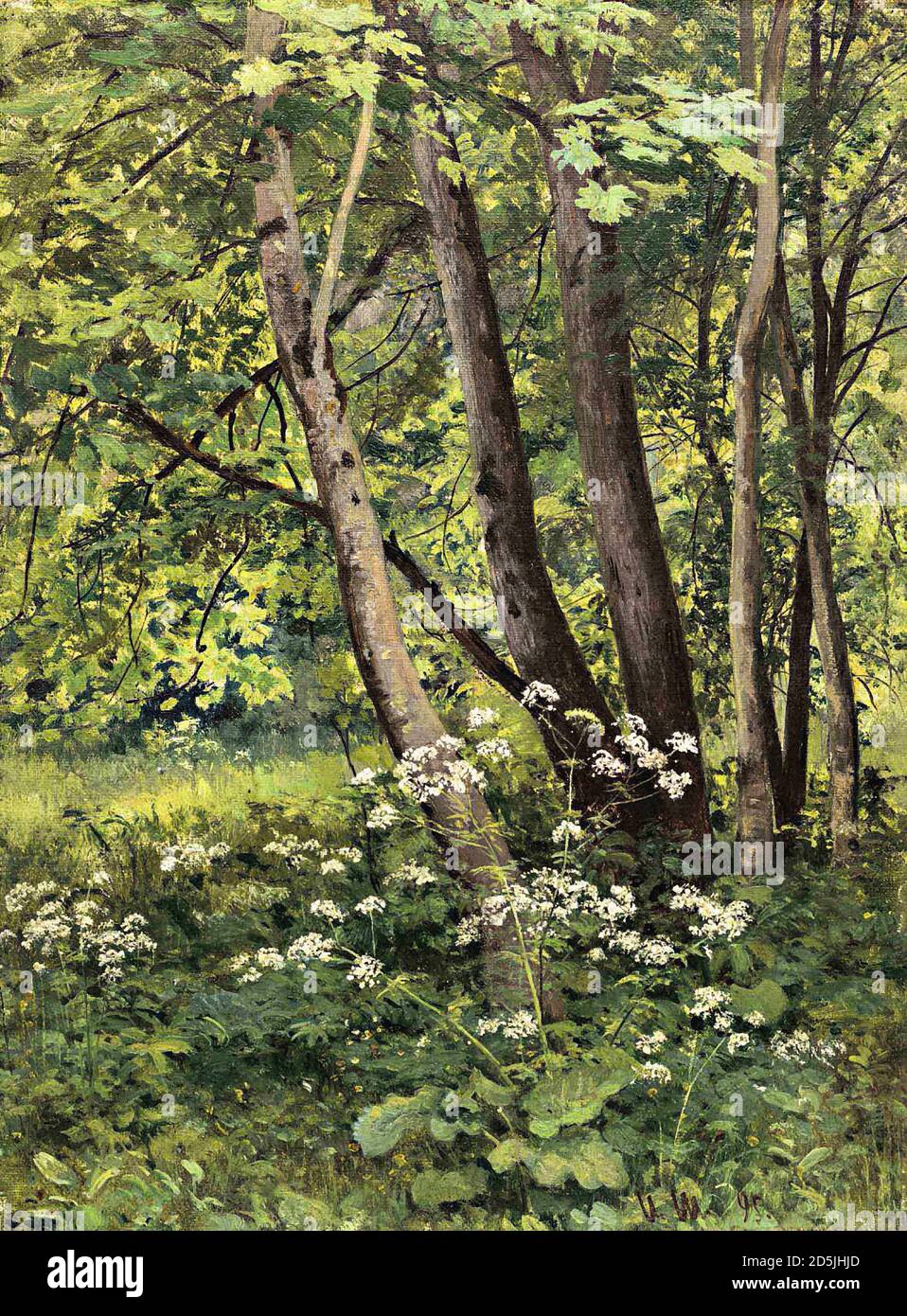 Shishkin Ivan - Forest Flowers - Russian School - 19th  Century Stock Photo
