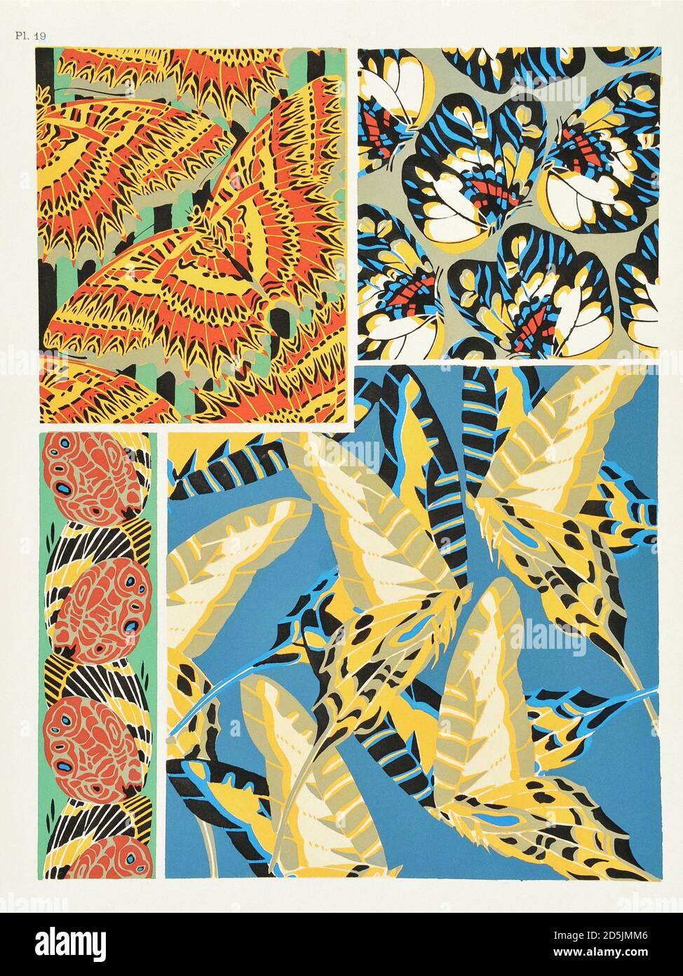 Butterflies: twenty phototype boards colored to the pattern. PL XIX.  From book by  Emile-Allain Seguy (1877-1951). Paris, France. 1925 Stock Photo