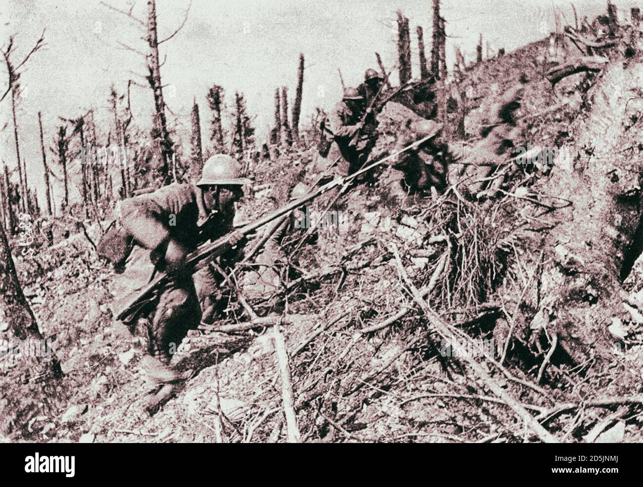 Argonne Forest High Resolution Stock Photography and Images Alamy