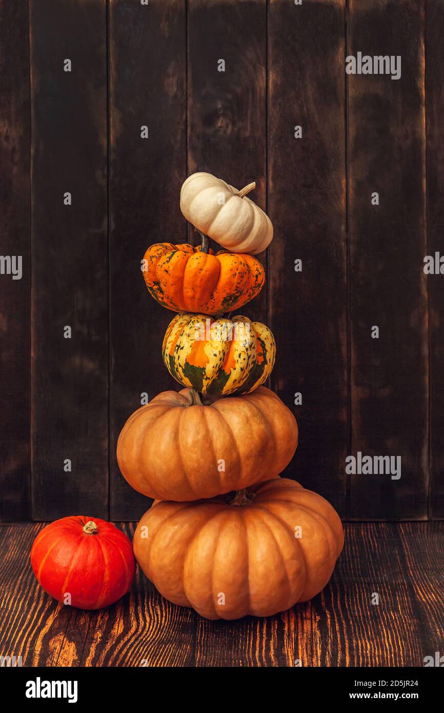 Pyramid of pumpkins on a brown wooden background. Stock Photo