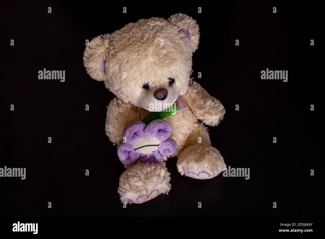 Fluffy teddy bear toy on the black background. Isolated Stock Photo - Alamy