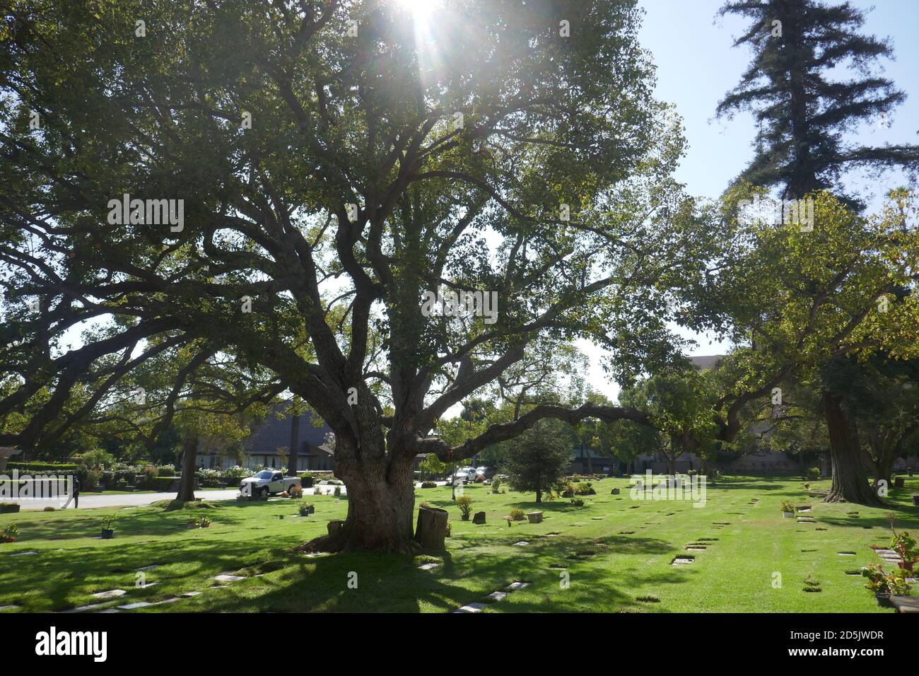 westwood village memorial park los angeles