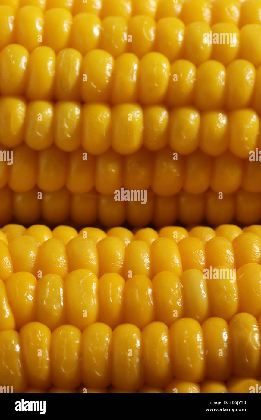 Cooked corn, healthy vegan snack Stock Photo Alamy