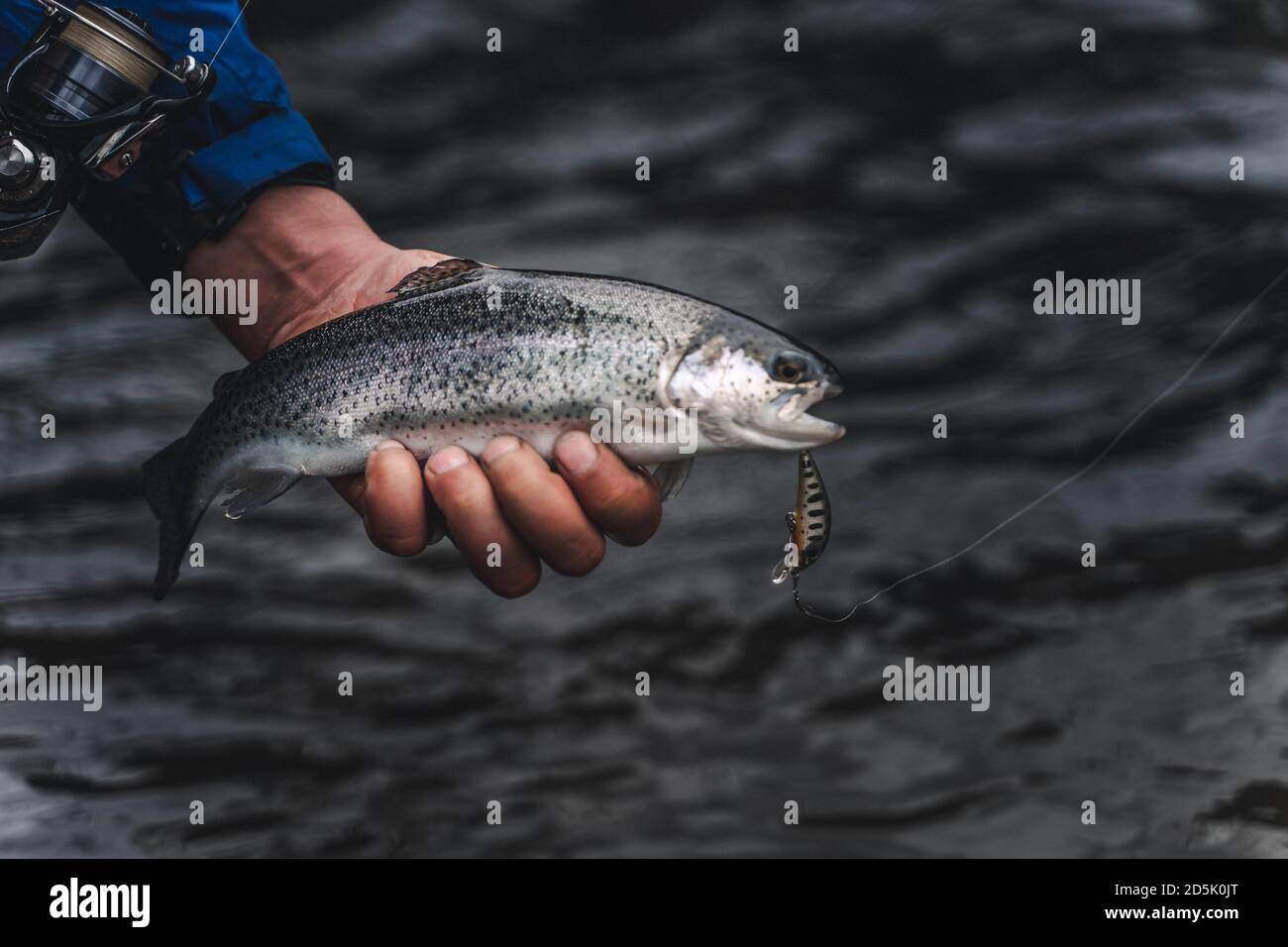 Fisherman in river holding catched fish in hand with bait and hook. Stock Photo