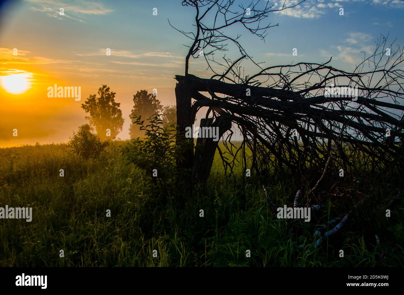 morning fog over the lake. Sunlight through the forest Stock Photo - Alamy