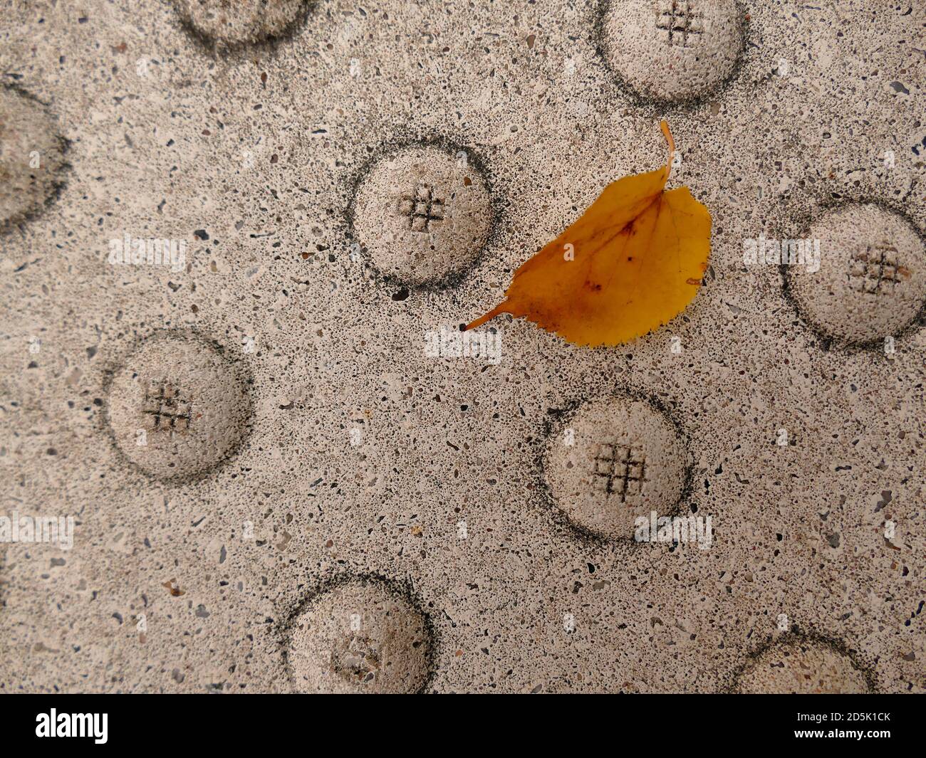 Seasonal leaf patterns hi-res stock photography and images - Alamy