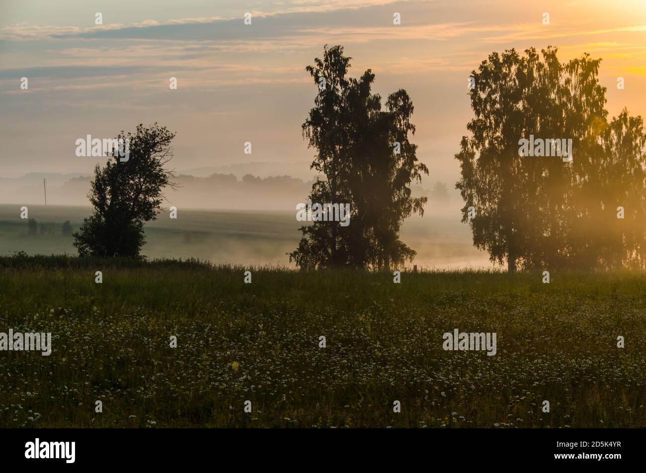 morning fog over the lake. Sunlight through the forest Stock Photo - Alamy