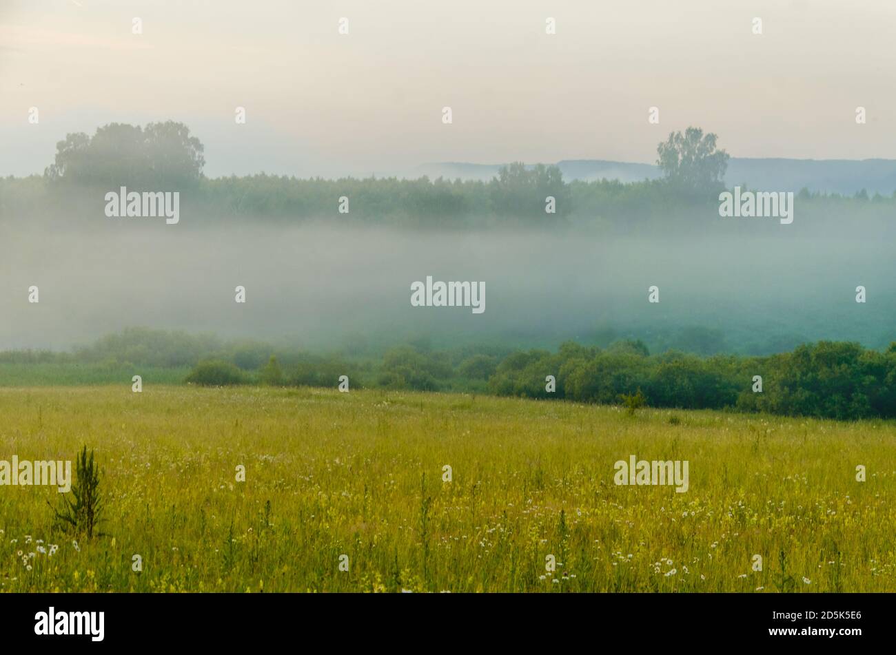 morning fog over the lake. Sunlight through the forest Stock Photo - Alamy