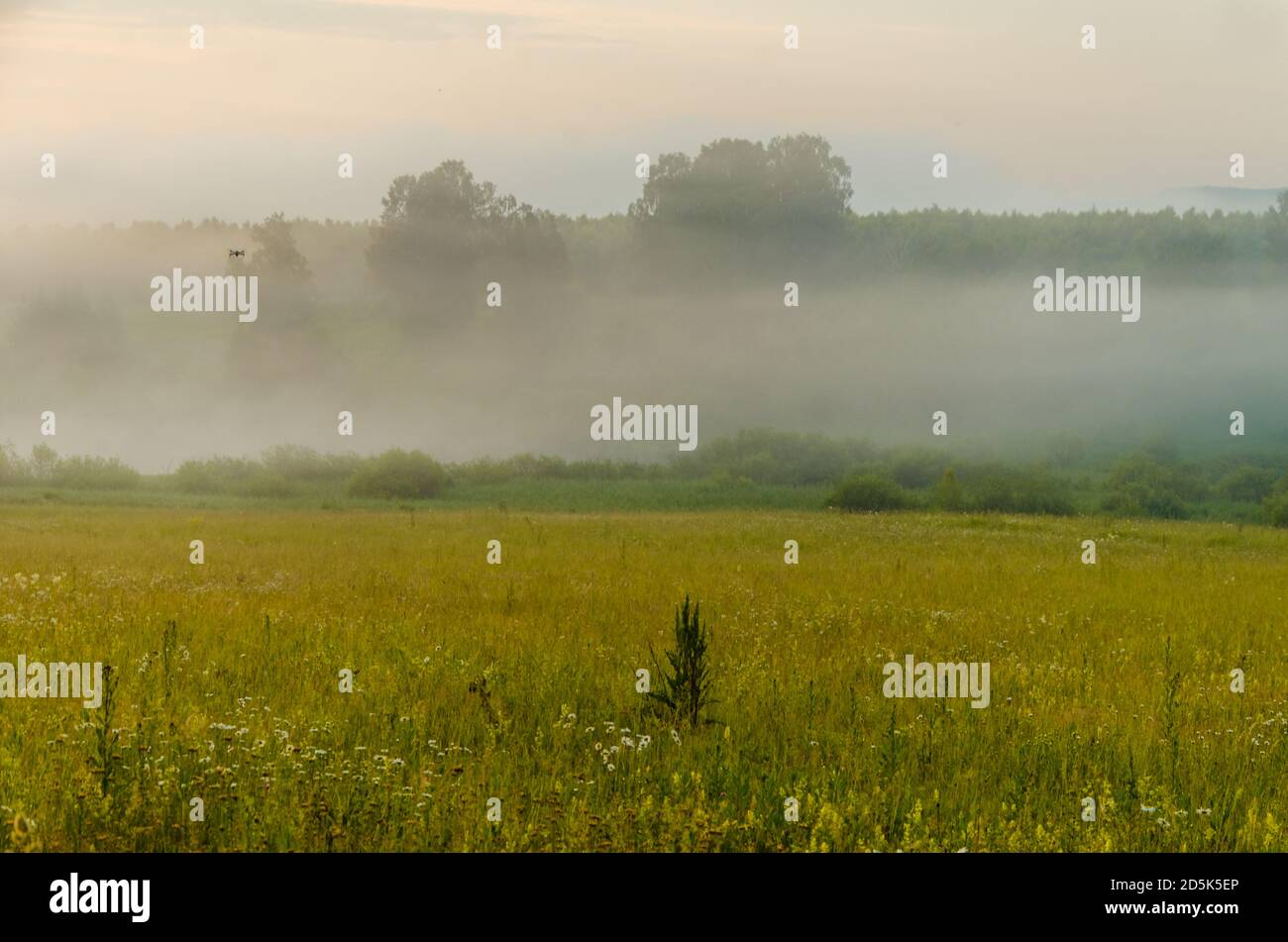 morning fog over the lake. Sunlight through the forest Stock Photo - Alamy