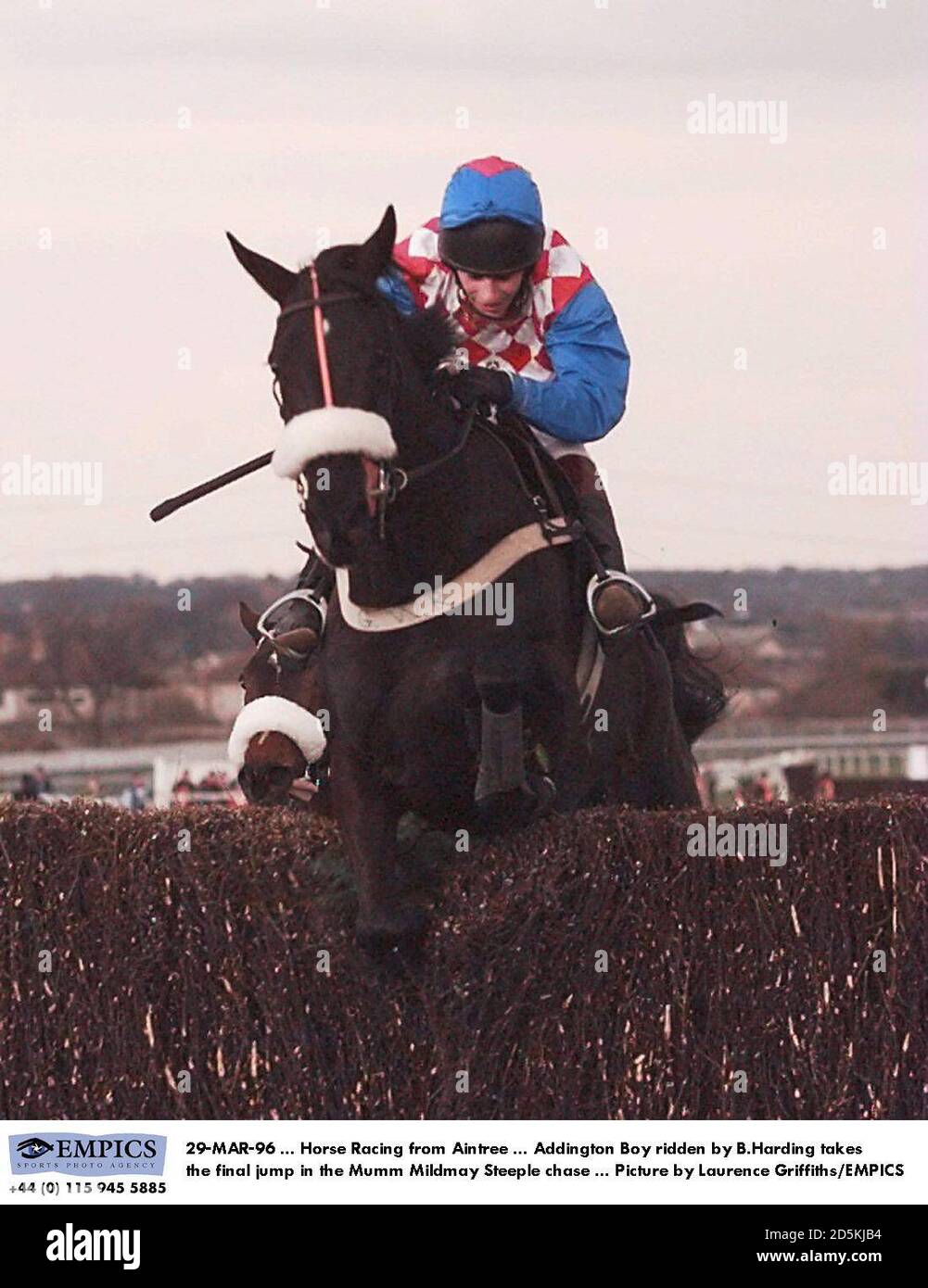 Addington Boy ridden by Brian Harding jumps the final fence in the Mumm Mildmay Steeple chase   Stock Photo