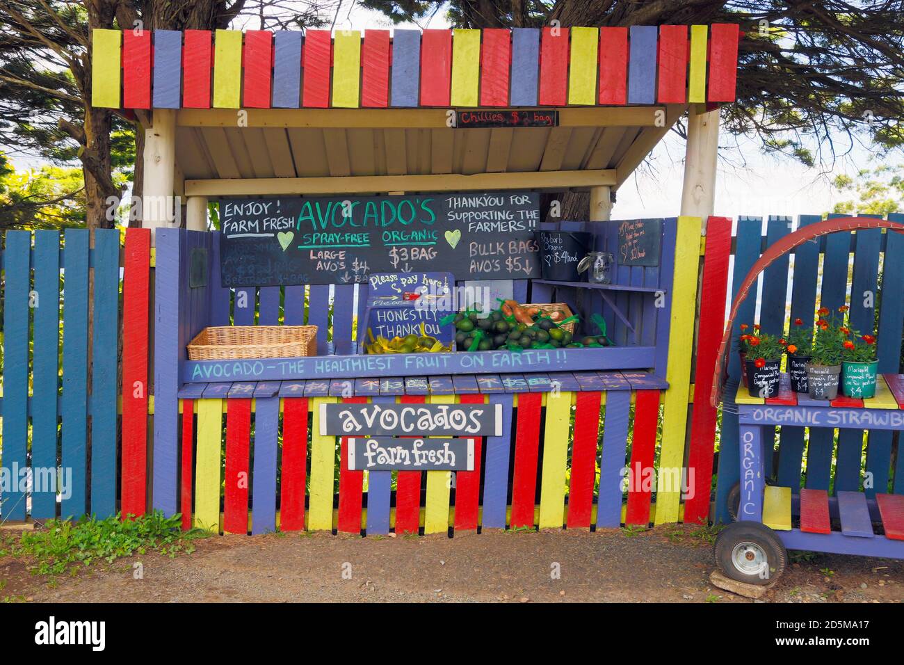 Inland Gold Coast, Queensland, Australia.  Roadside stall selling avocados in the Tamborine Mountain area. Stock Photo