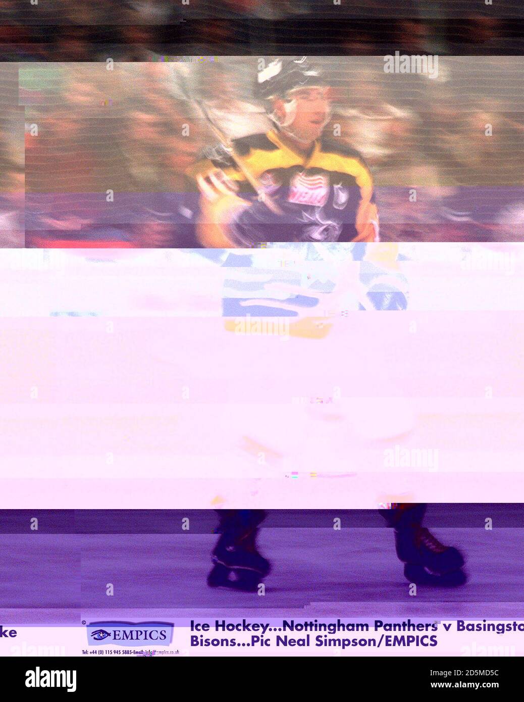 Ice Hockey. Nottingham Panthers v Basingstoke Bisons Stock Photo Alamy